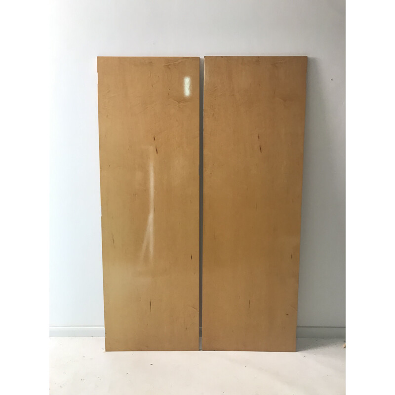 Pair of vintage art-deco doors