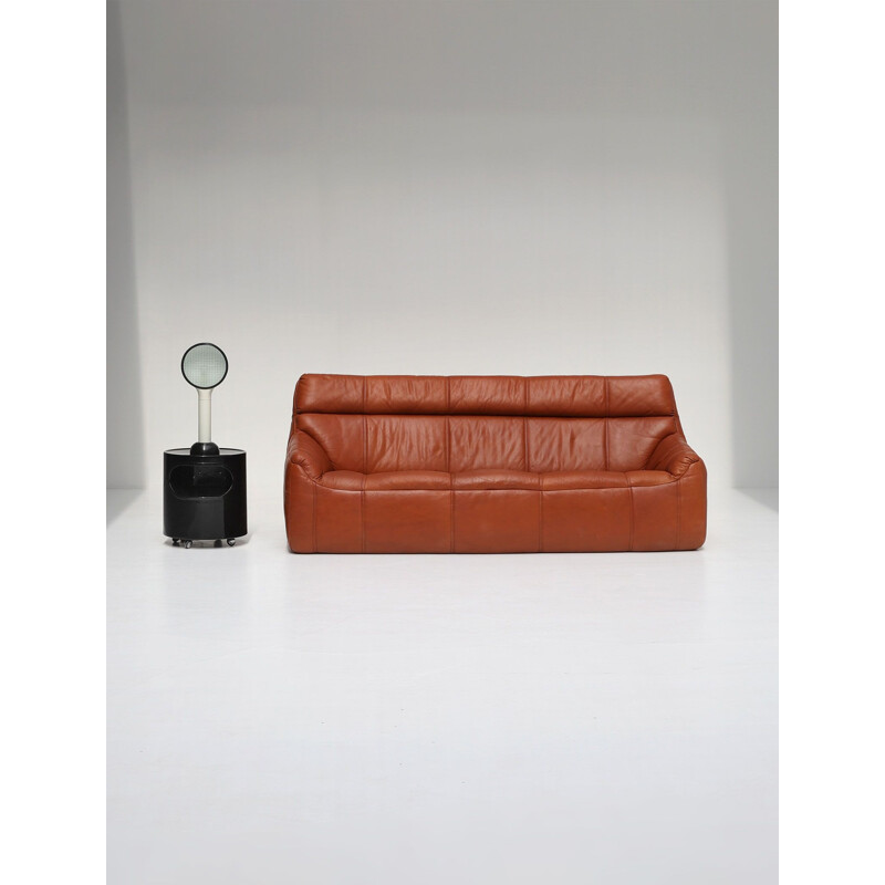 Vintage leather sofa Rolf Benz 1970s