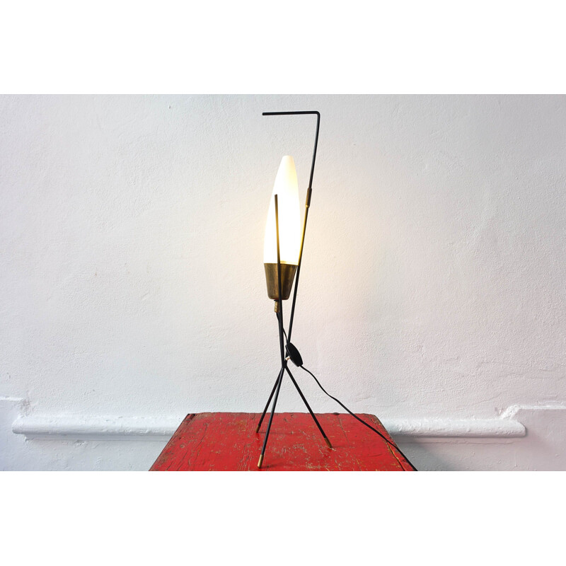 Vintage Table  Floor Lamp Ghilardi & Barzaghi 1950s