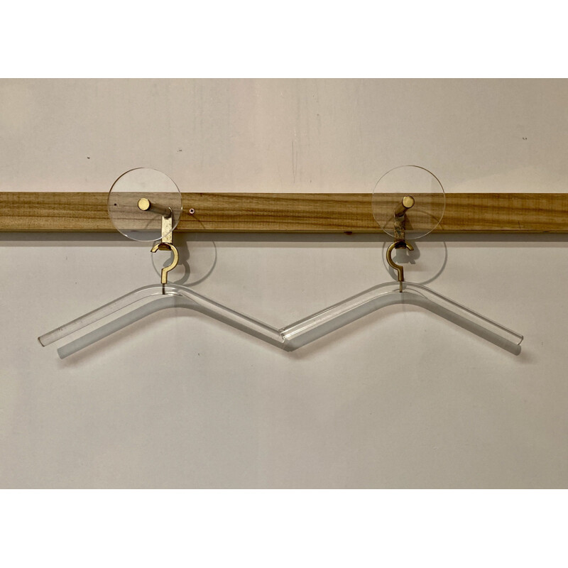 Vintage coat hook and hangers  acrylic brass 1970