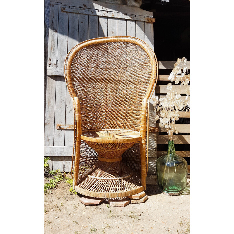 Vintage Emmanuelle rattan armchair, 1960