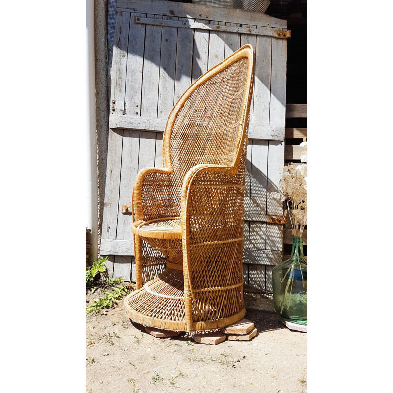 Vintage Emmanuelle rattan armchair, 1960