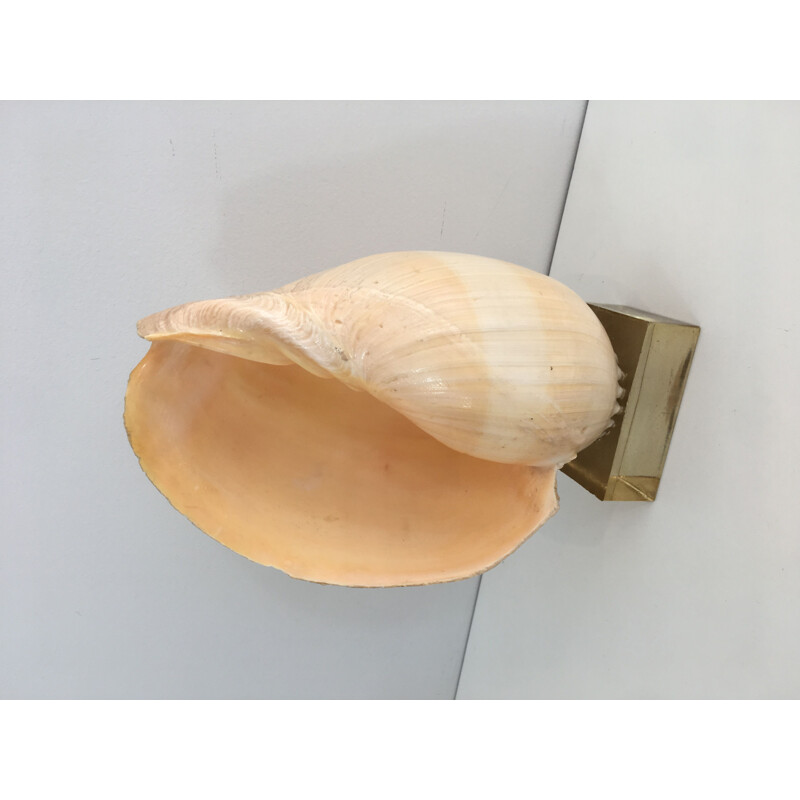 Decorative vintage shell on Plexiglas base, 1970