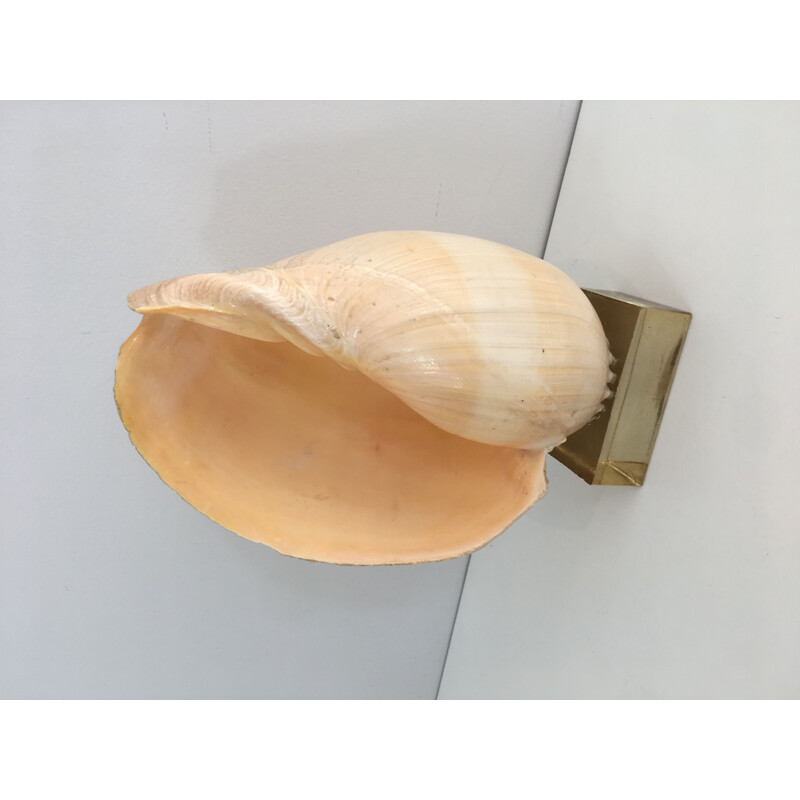 Decorative vintage shell on Plexiglas base, 1970