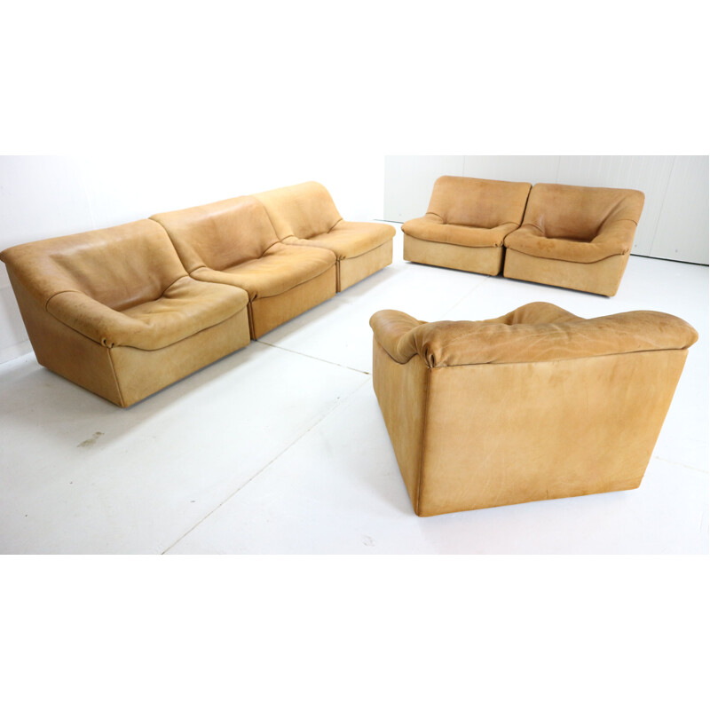 Vintage De Sede, DS46 6 Pieces Living Room Set in Buffalo Leather, Switzerland, 1970s