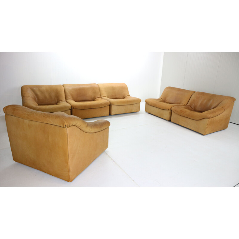 Vintage De Sede, DS46 6 Pieces Living Room Set in Buffalo Leather, Switzerland, 1970s