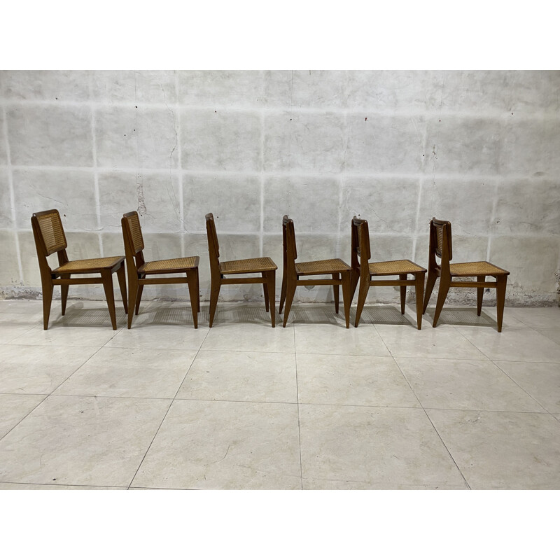 Set of 6 vintage cane chairs 1950