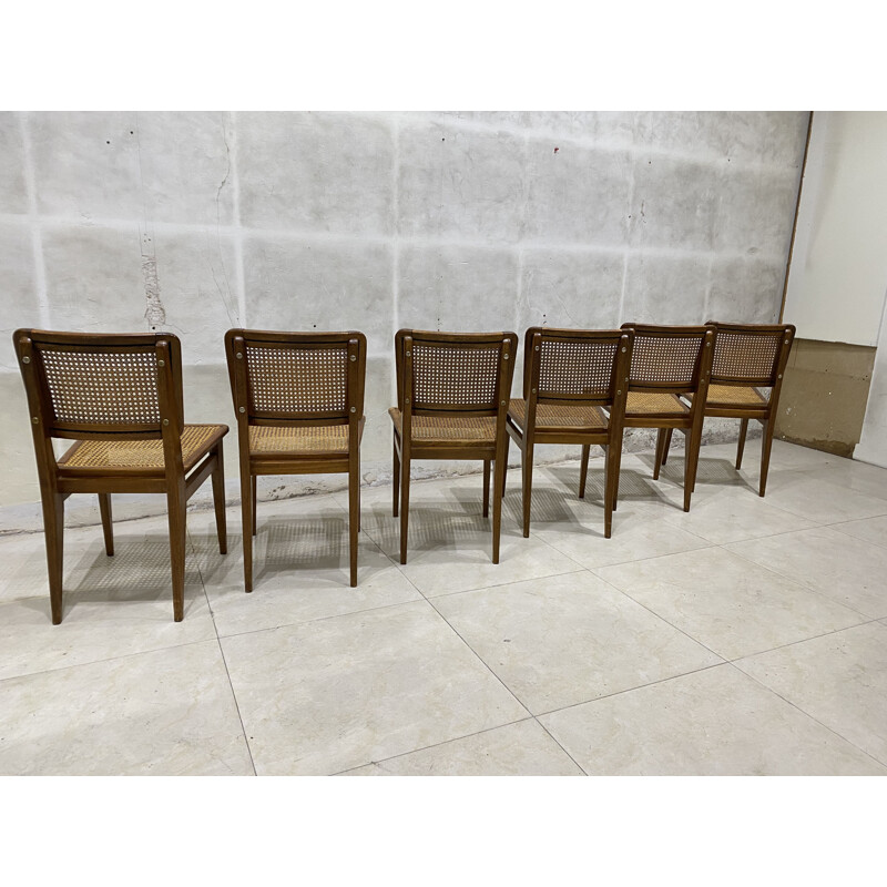 Set of 6 vintage cane chairs 1950