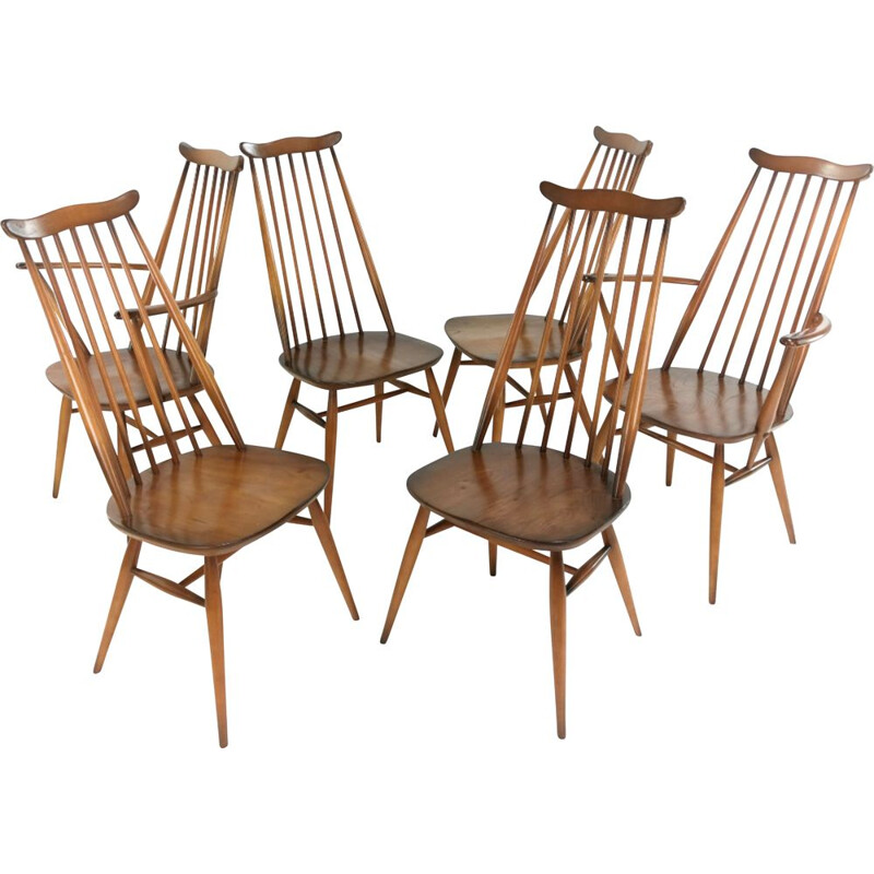 Lot de 6 chaises vintage d'orfèvre Ercol Elm & Beech