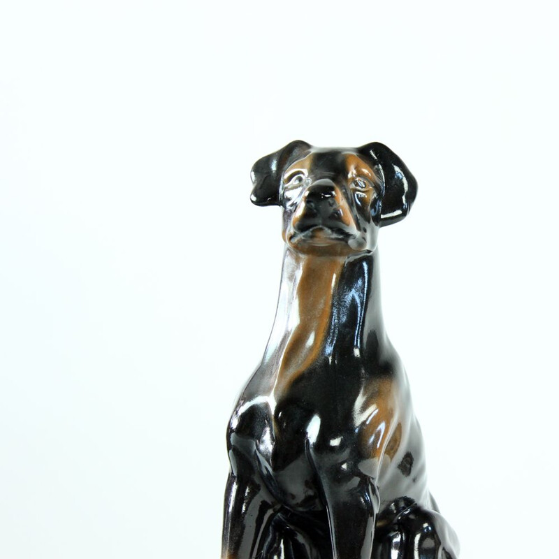 Vintage statue of an old doberman pitcher in Jikohera porcelain, Czechoslovakia 1960