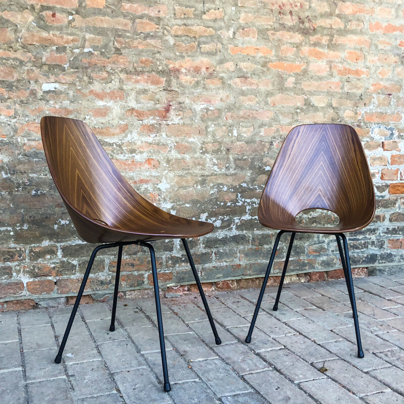 Mid-Century set of 6 Teak Medea Dining Chairs by Vittorio Nobili for Fratelli Tagliabue, 1956