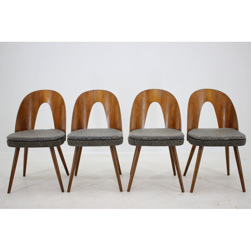 Set of 4 Dining Chairs, Antonin Suman Czechoslovakia 1960s