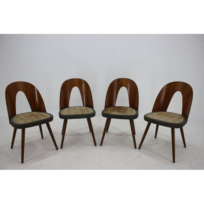 Ensemble de 4 chaises vintage Antonin Suman Tchécoslovaquie 1960