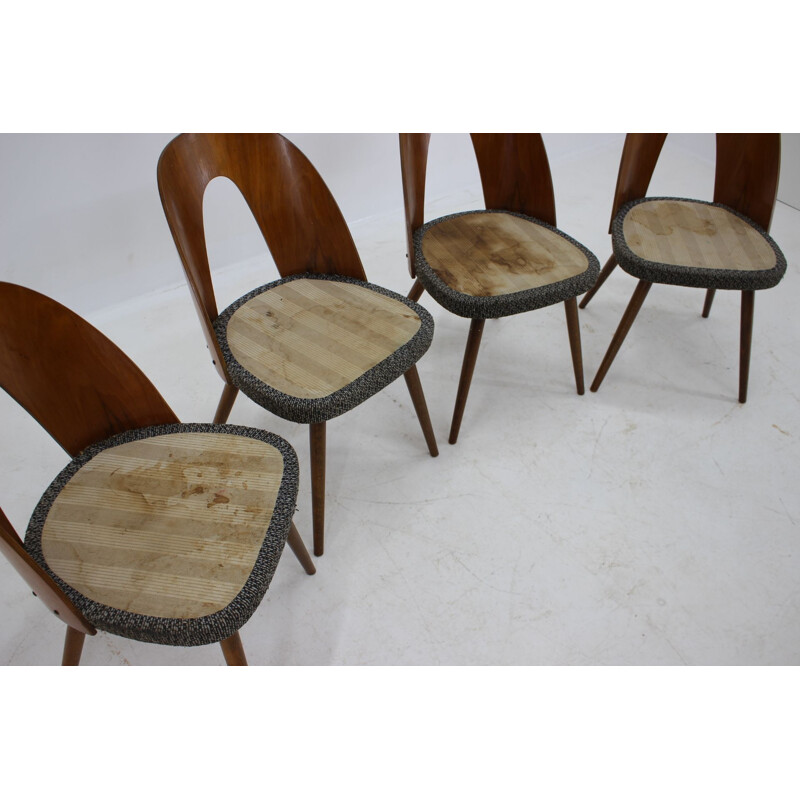 Set of 4 Dining Chairs, Antonin Suman Czechoslovakia 1960s