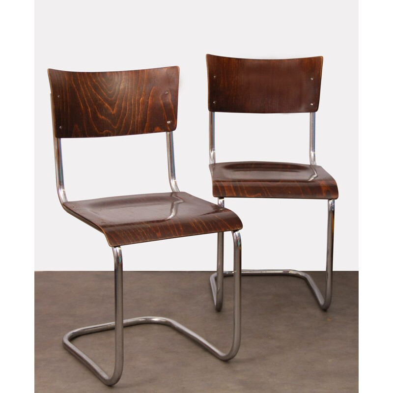 Pair of vintage chairs by Mart Stam for Kovona, 1940