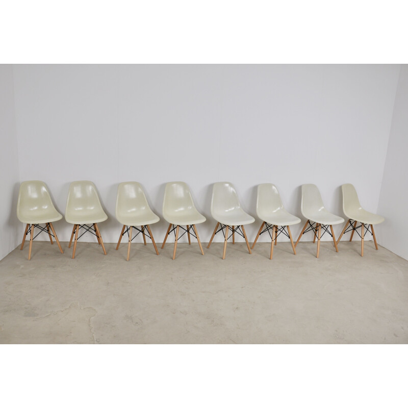 8 Vintage Chairs DSW by Charles & Ray Eames for Herman Miller, 1982