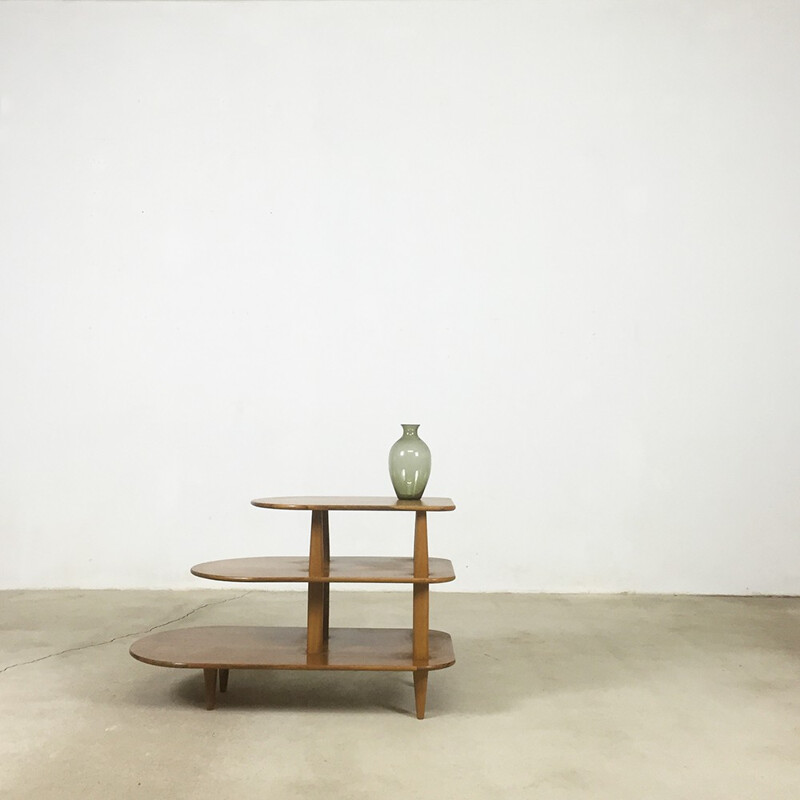 Wooden side table with shelves - 1960s