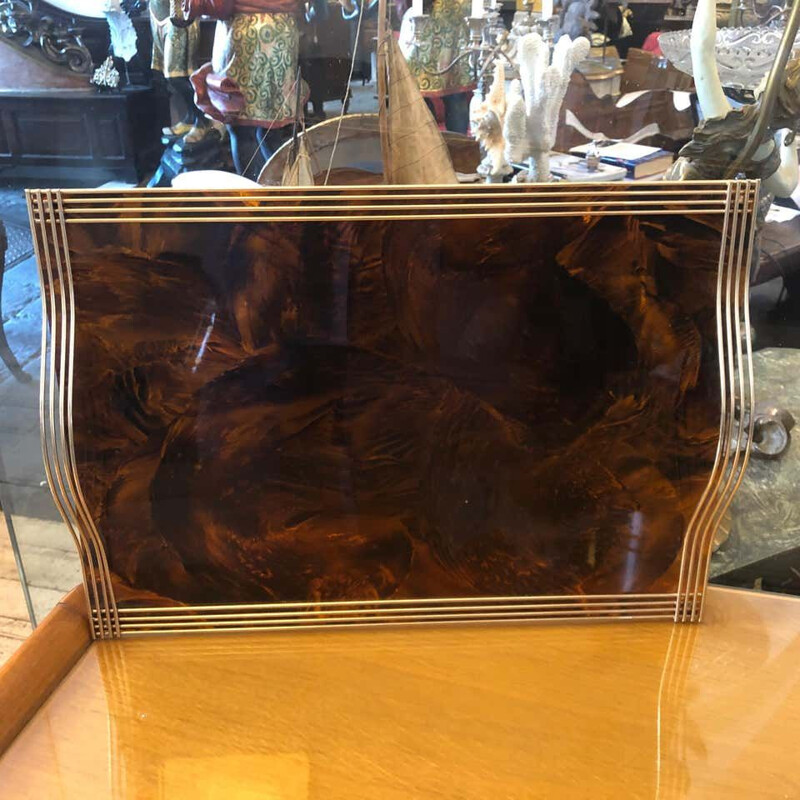 Mid-Century Brass and Fake Tortoise Lucite Serving Tray 1960