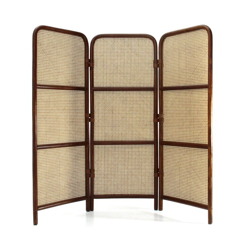 Vintage Screen in rattan and Vienna straw by Gervasoni, 1980s