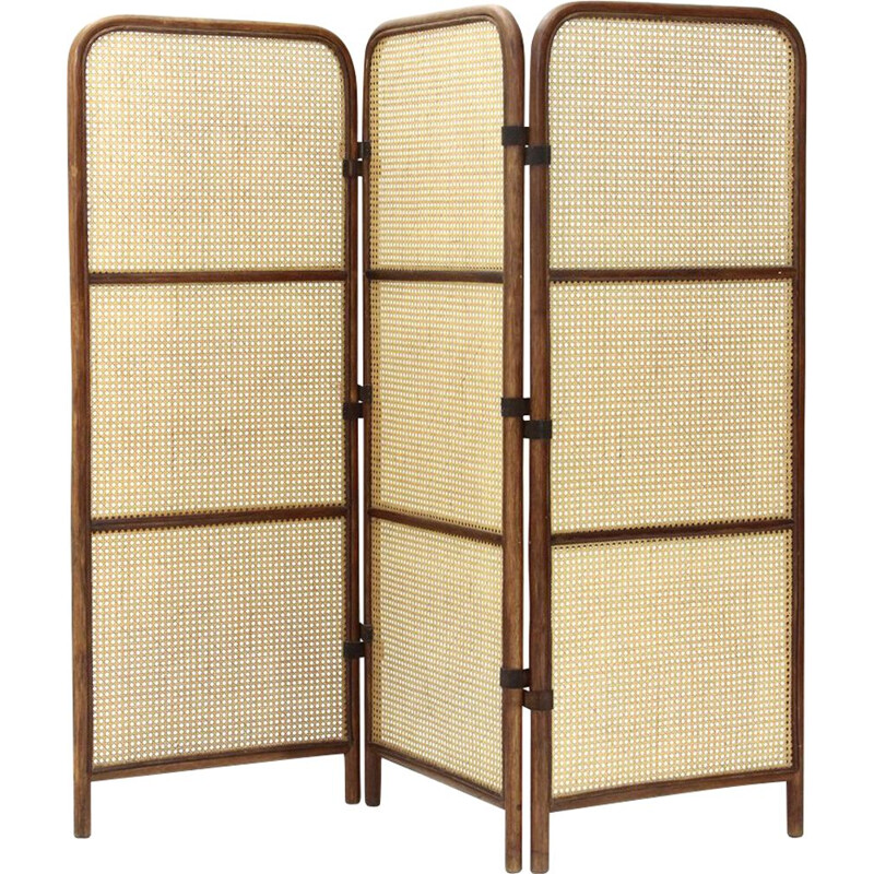 Vintage Screen in rattan and Vienna straw by Gervasoni, 1980s