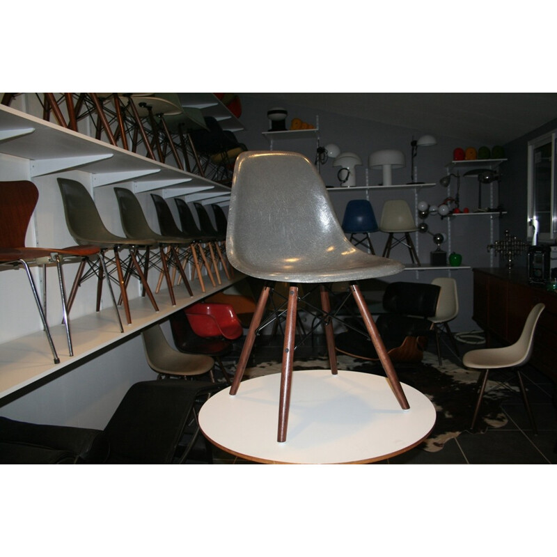 Chairs EAMES DSW Edt Zenith Plastic - 1950s 