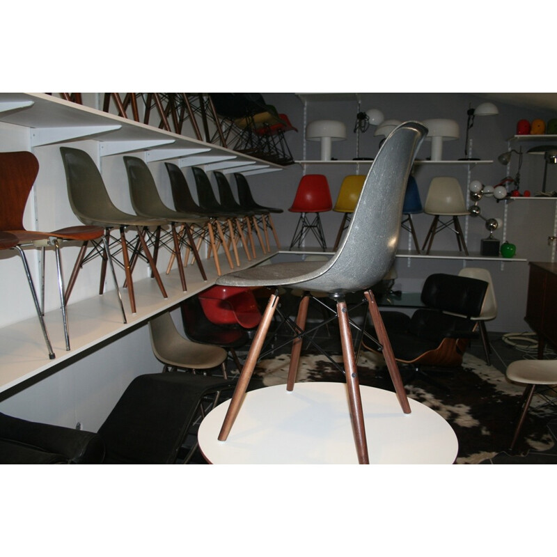 Chairs EAMES DSW Edt Zenith Plastic - 1950s 