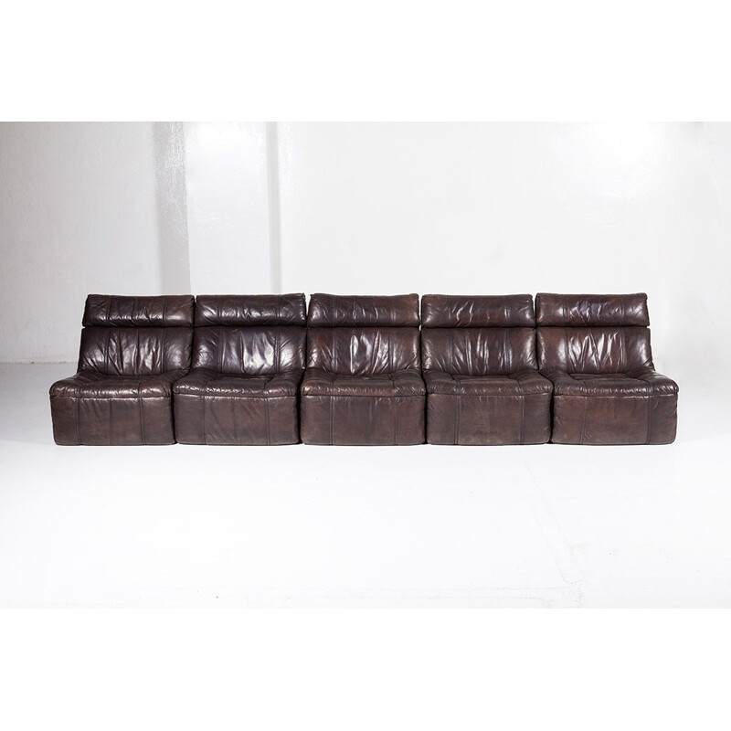 Vintage Modular Leather 5 Piece Sofa from Rolf Benz, 1970s
