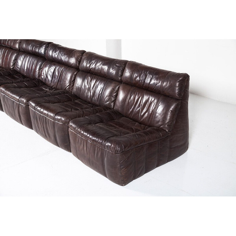 Vintage Modular Leather 5 Piece Sofa from Rolf Benz, 1970s