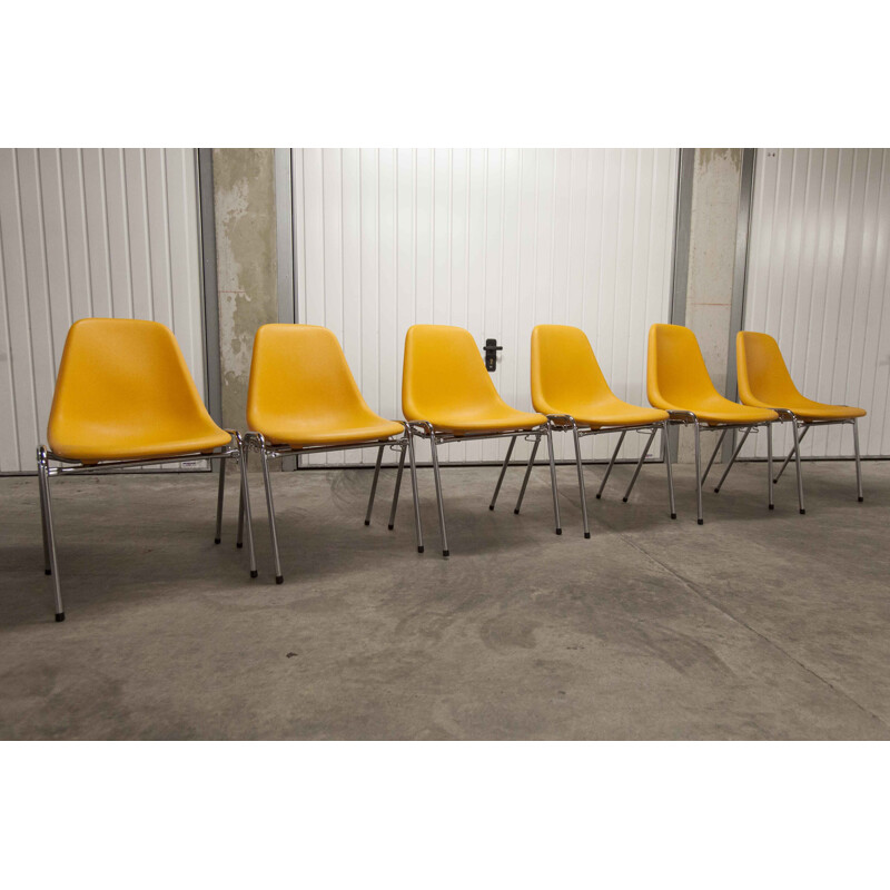 Set of 6 vintage chairs by Pollak, 1975