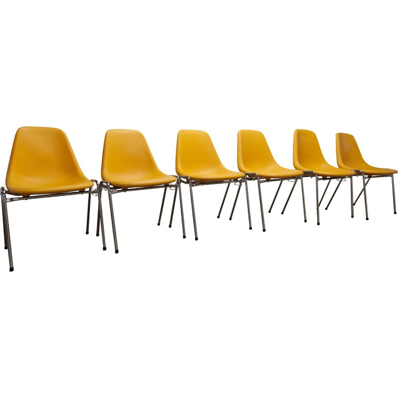 Conjunto de 6 cadeiras vintage da Pollak, 1975