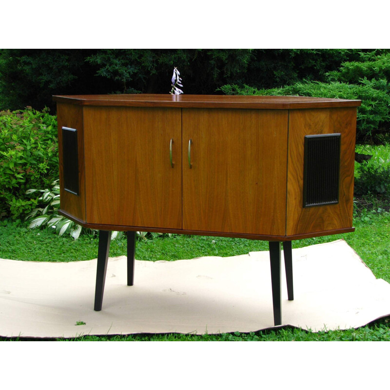 Vintage corner cabinet 1970