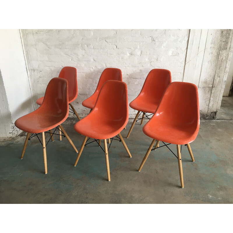 Set of 6 vintage dining chairs orange DSW  by Charles & Ray Eames