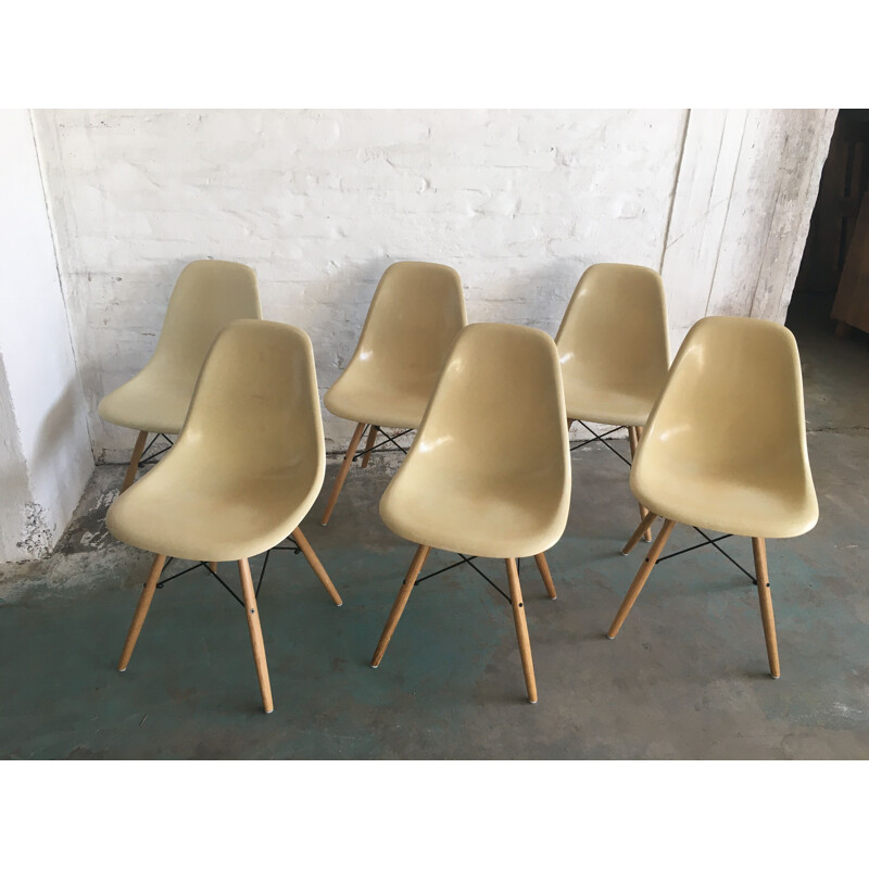 Lot de 6 chaises vintage DSW de Charles & Ray Eames