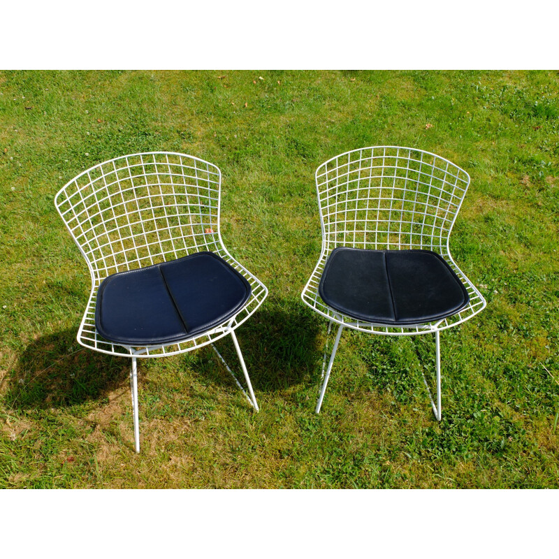 Pair of mid-century chairs in steel, Harry BERTOIA - 1950s