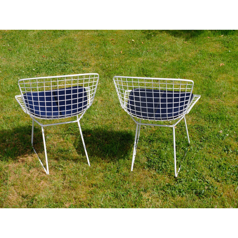 Pair of mid-century chairs in steel, Harry BERTOIA - 1950s