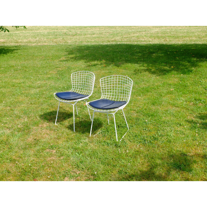 Pair of mid-century chairs in steel, Harry BERTOIA - 1950s