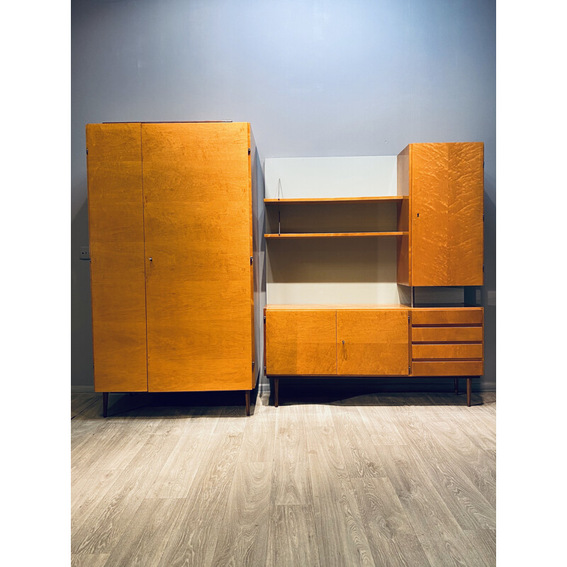 Pair of vintage furniture, a small wardrobe and a chest of drawers with shelves