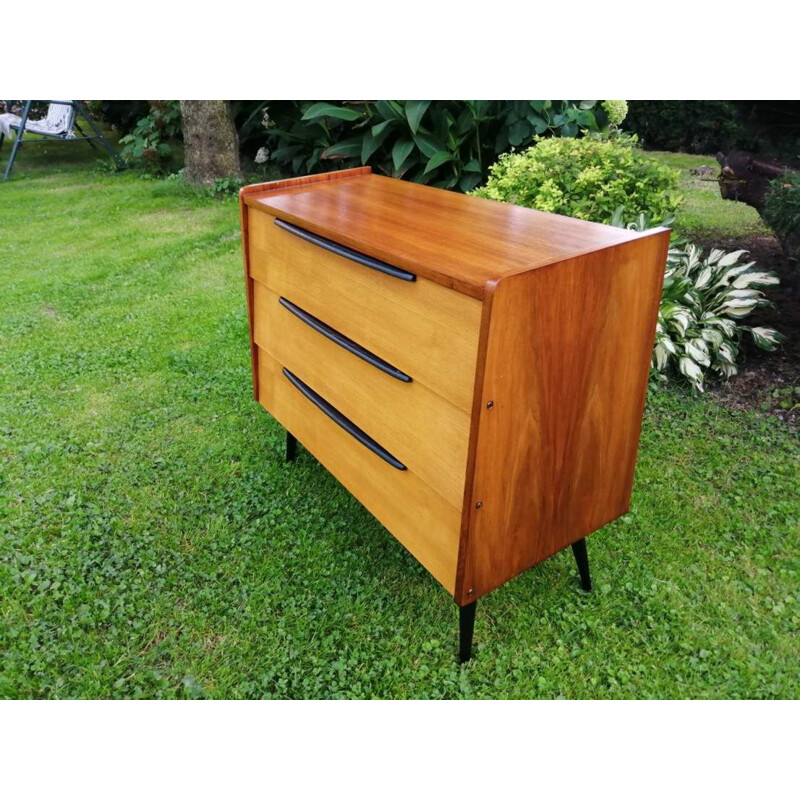 Vintage shoe cabinet 1960s