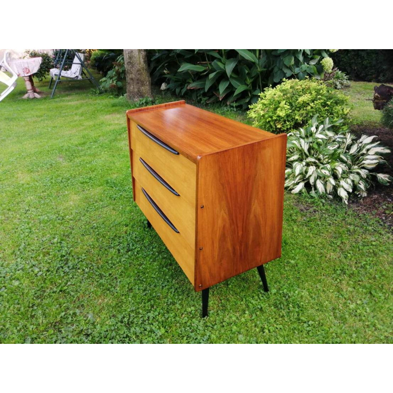 Vintage shoe cabinet 1960s