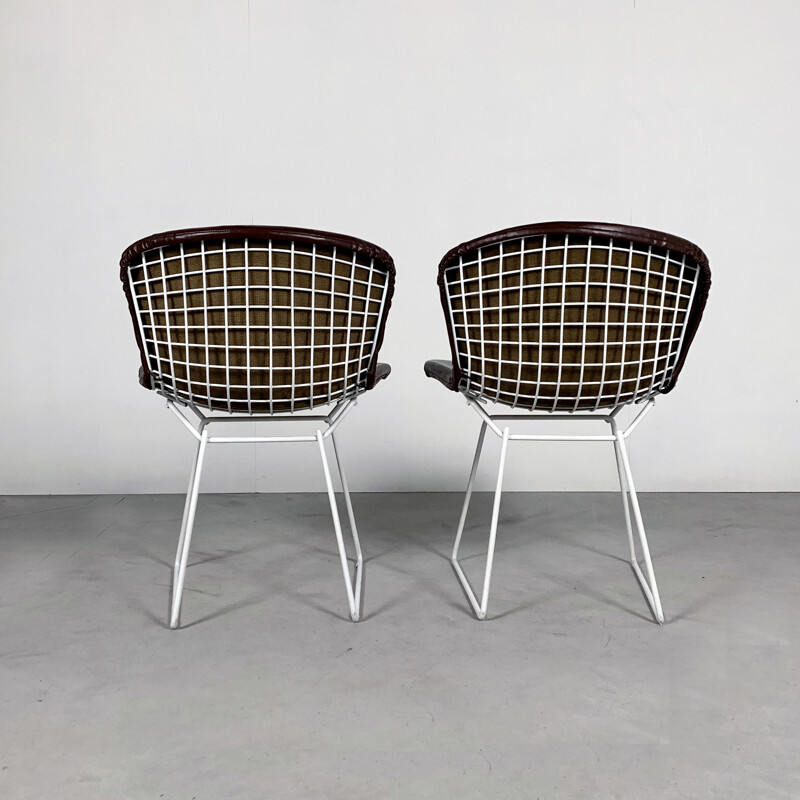 Pair of vintage Dining Chairs by Harry Bertoia for Knoll, 1970s
