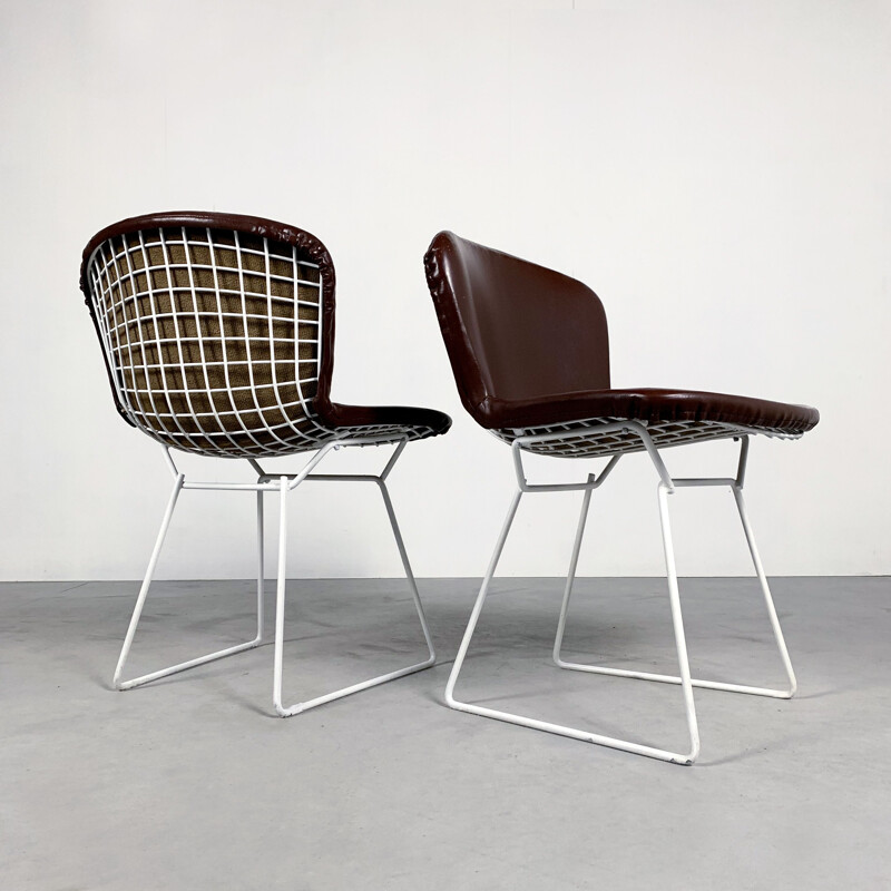 Pair of vintage Dining Chairs by Harry Bertoia for Knoll, 1970s