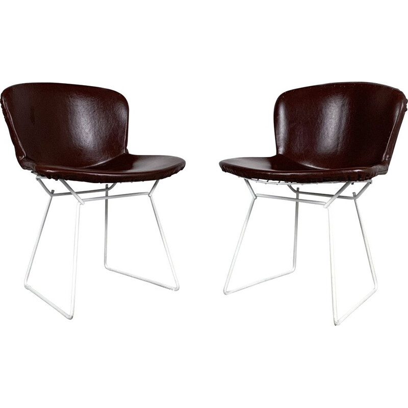 Pair of vintage Dining Chairs by Harry Bertoia for Knoll, 1970s