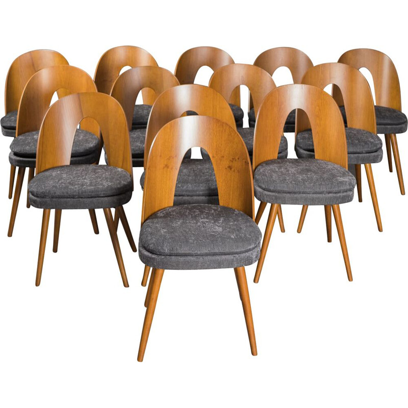 Set of 12 Vintage Walnut Chairs Antonin Suman Czech Republic 1960