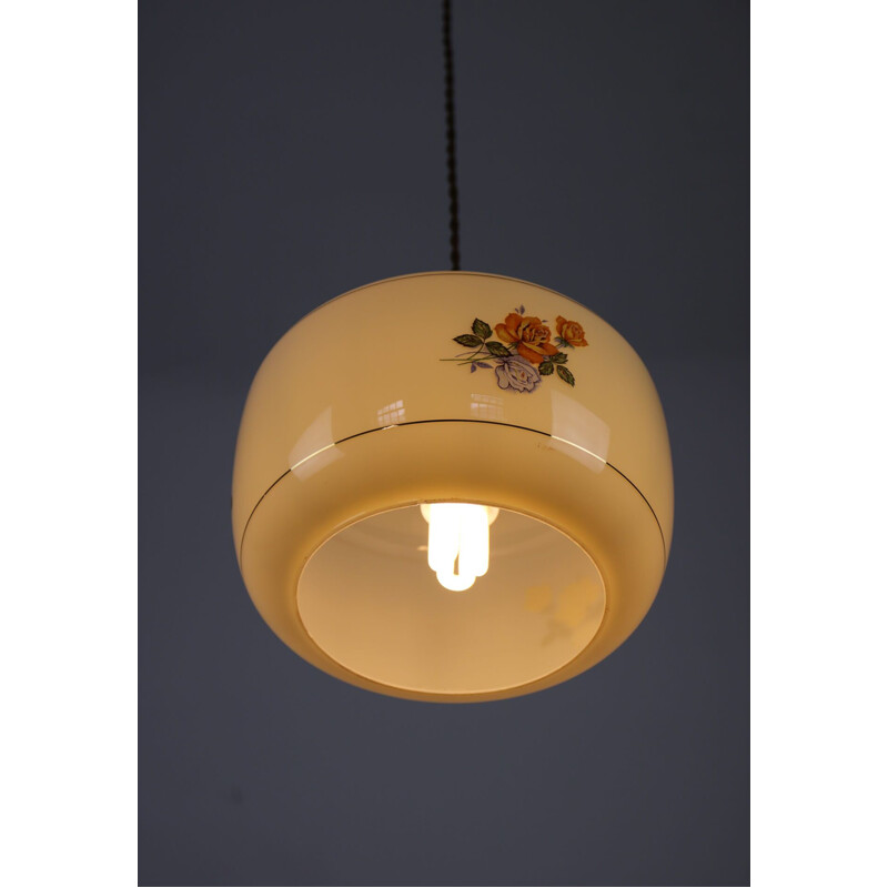 Vintage glass pendant light with flowers 