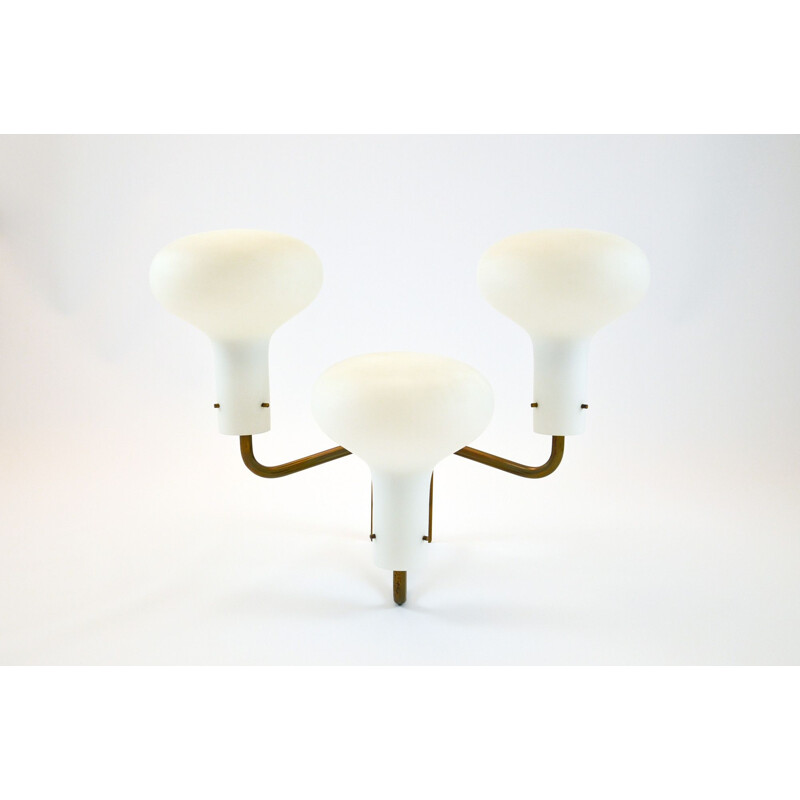 Set of 5 vintage Lp12A sconces by Ignazio Gardella for Azucena, 1959