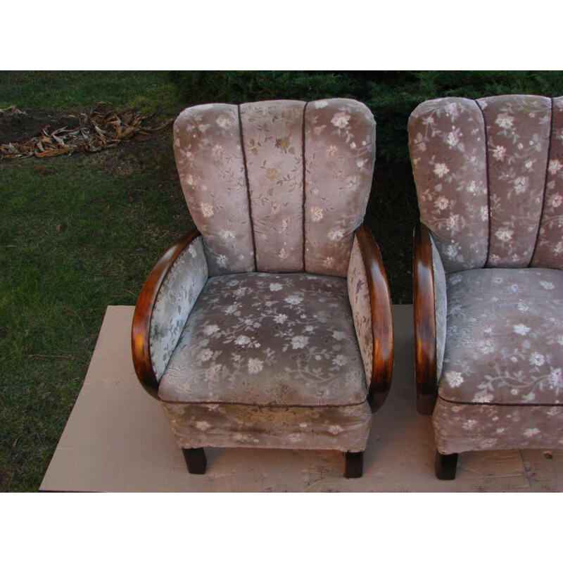 Pair of Vintage armchair Art deco