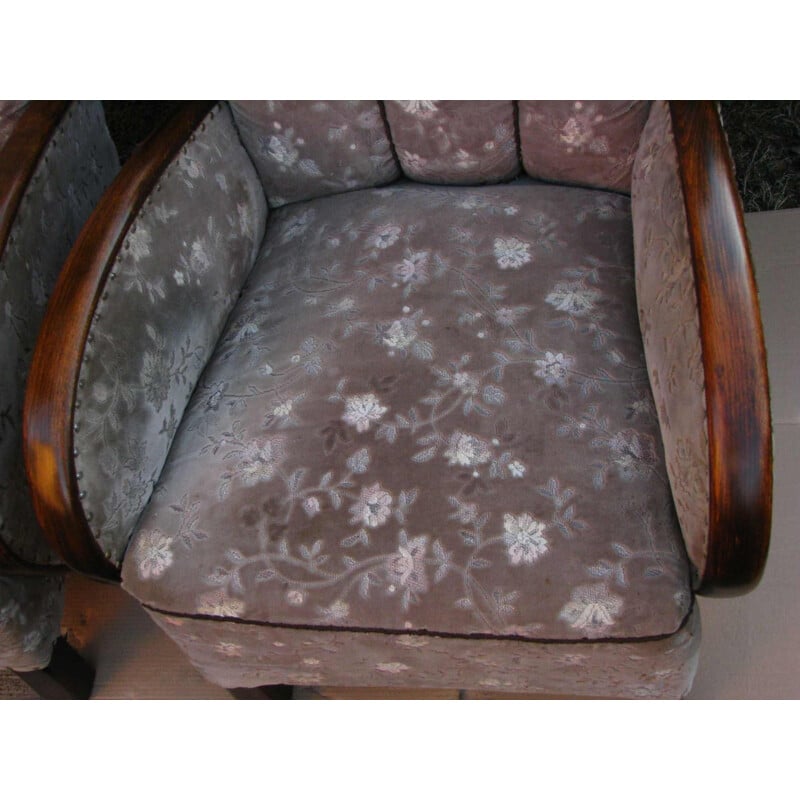 Pair of Vintage armchair Art deco