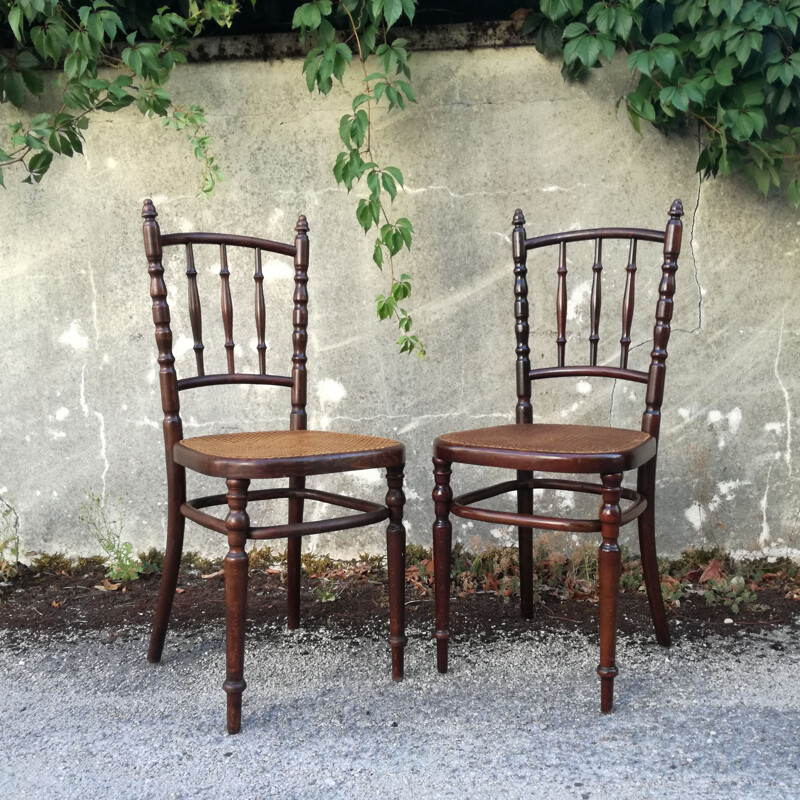 Pair of Vintage Chairs caned by Fischel 1930