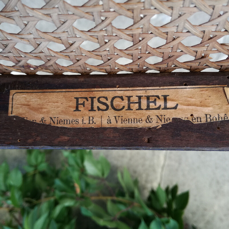 Pair of Vintage Chairs caned by Fischel 1930