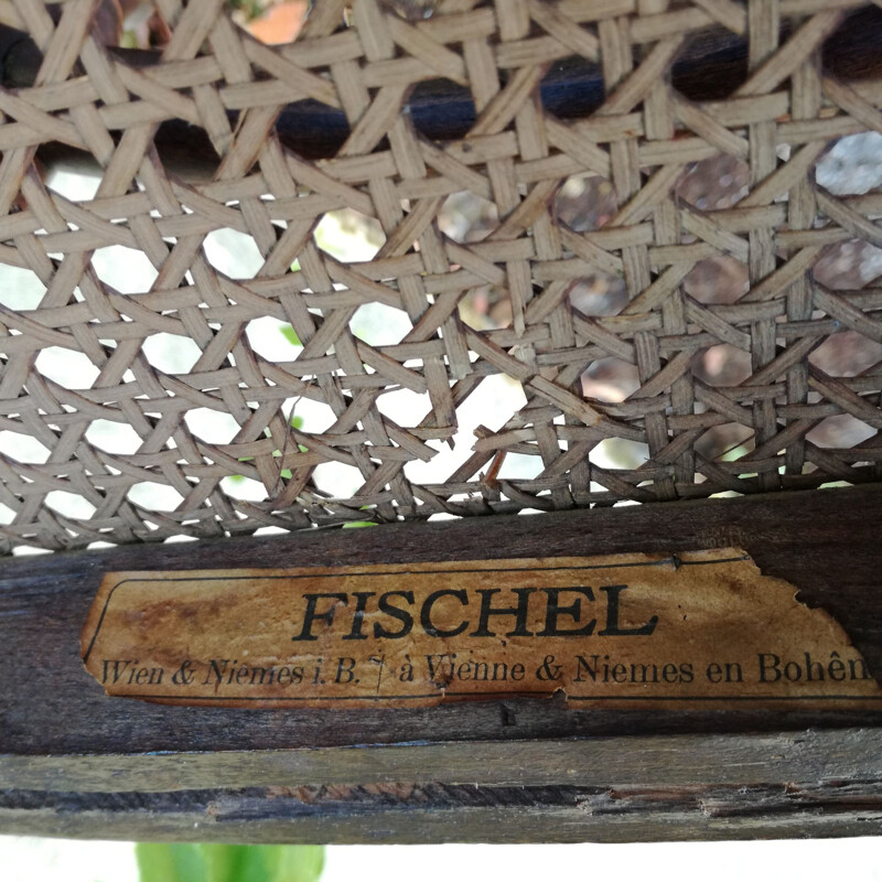 Paire de Chaises  vintage cannées par Fischel  1930